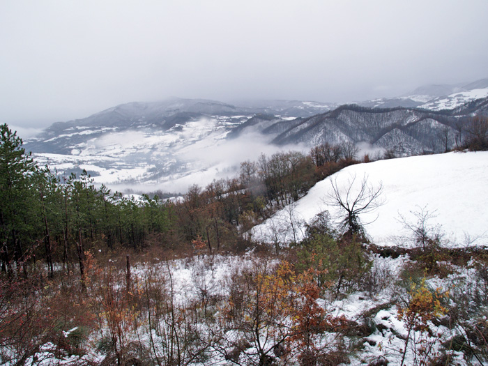 Oasi naturalistica del Carmine